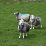 Casa de hóspedes Kirkwood Windermere