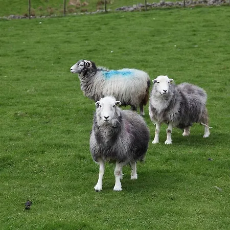 Vendégház Kirkwood Windermere